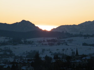 DSCF0730
