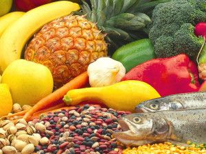 alimentazione