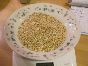 grano saraceno piselli sugo pomodoro ricetta senza glutine vegetariana grano saraceno piselli sugo pomodoro ricetta senza glutine vegetariana